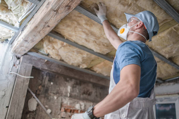 Best Energy Efficiency Insulation in Lincoln, MO